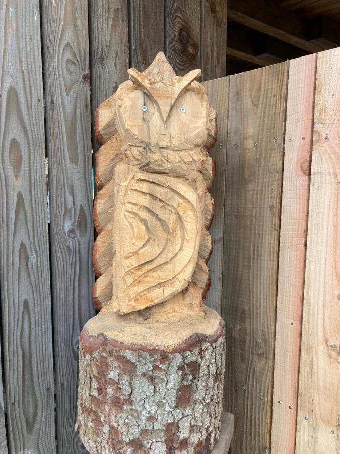 Gite Du Hibou - Jolie Dependance Sur Verger Muhlbach-sur-Munster エクステリア 写真
