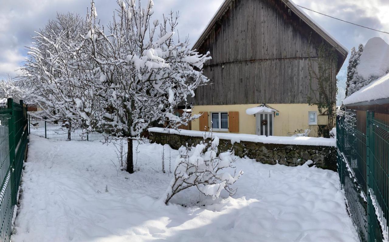 Gite Du Hibou - Jolie Dependance Sur Verger Muhlbach-sur-Munster エクステリア 写真