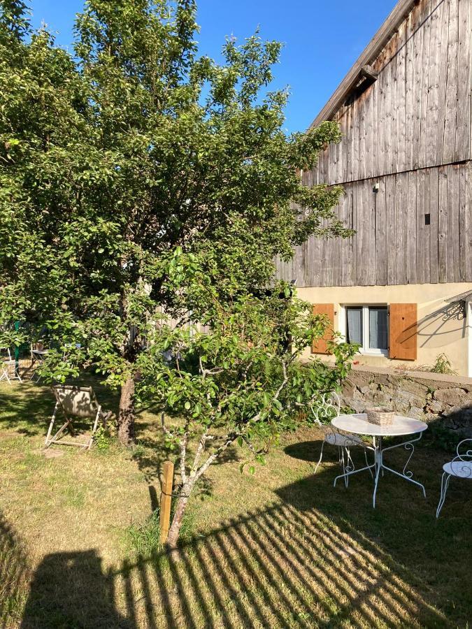 Gite Du Hibou - Jolie Dependance Sur Verger Muhlbach-sur-Munster エクステリア 写真